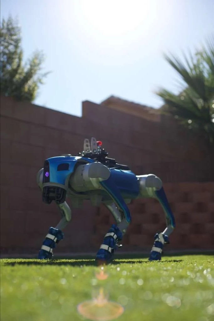 Gus, a Unitree Go2 Pro quadruped robot standing on grass